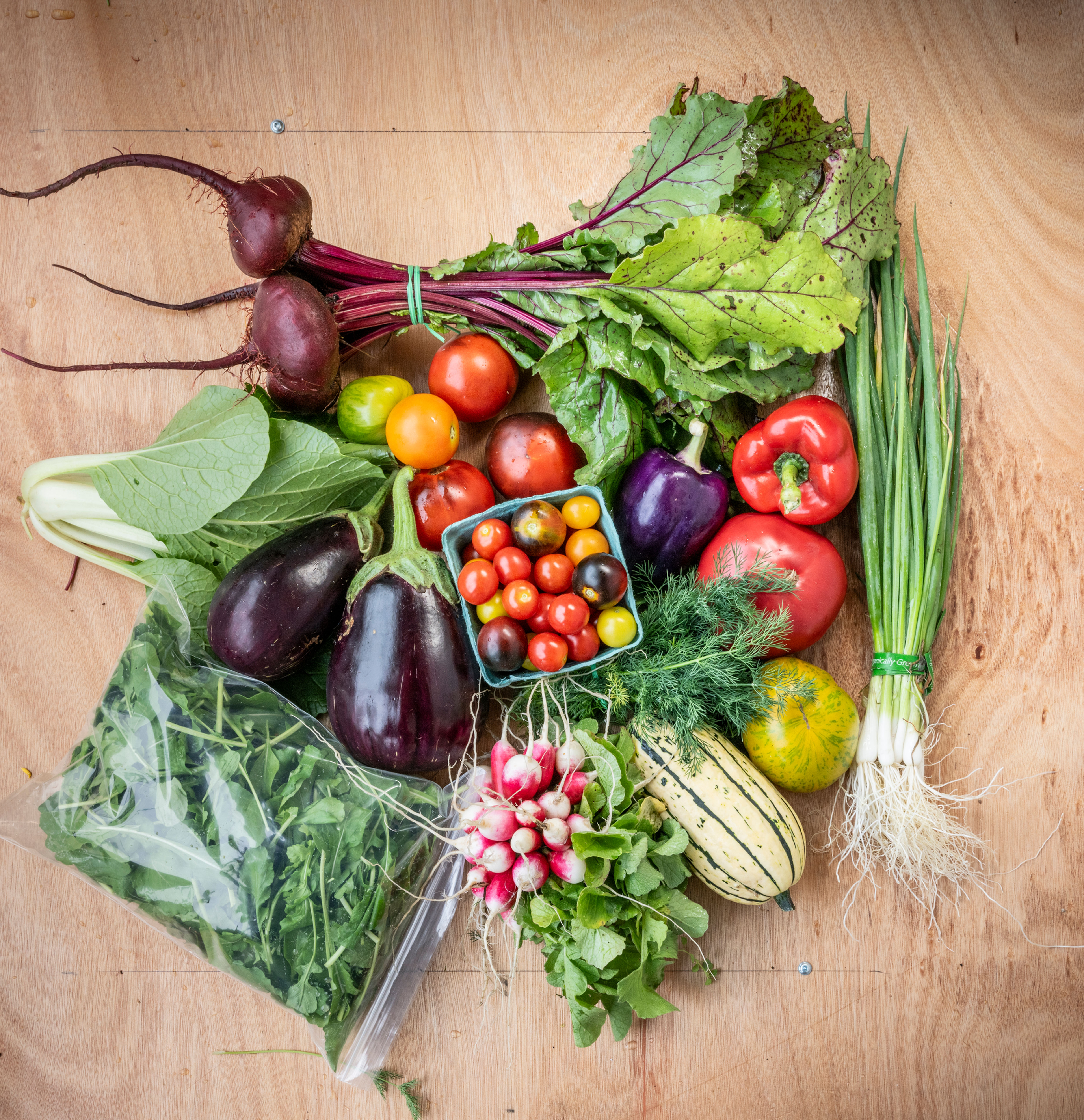 CSA Farm Box Membership: Weekly Delivery (16 Weeks)