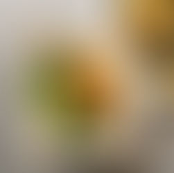 Lemon Maple Schnitzel