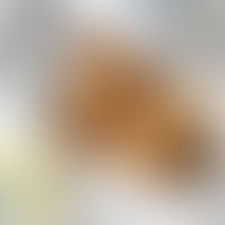 Challah with Sweet Crumbs