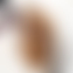 Sweet Onion French Roast