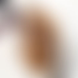 Sweet Onion French Roast