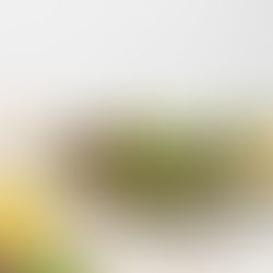 Citrus Vinaigrette Salad