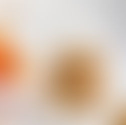 Apricot Jam Crumb Bars