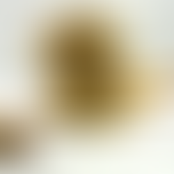 Milk Chocolate Scones