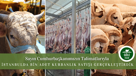 Sayın Cumhurbaşkanımızın Talimatlarıyla.png