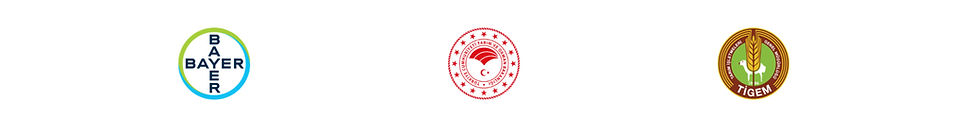 ALTUN YAPI TANITIM (1)_edited.jpg