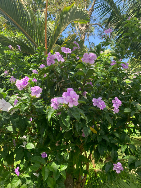 During this time of giving...