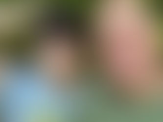 Good morning, campers!!!!