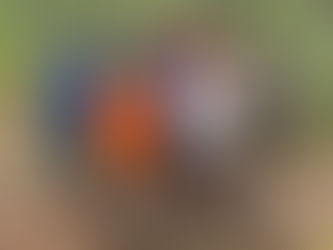 Extreme Sports Weekend at Camp Turrell