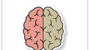 ¿Qué es el Trastorno de Aprendizaje No Verbal?
