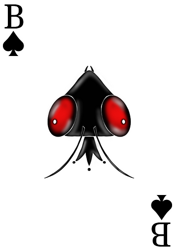 bcc46ab6-a002-4d05-82fa-53167c4cc69a.png