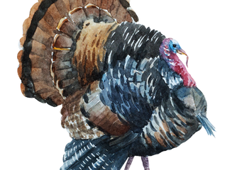 AEP is a Real TURKEY This Year. Boycott Black Friday & PUBLISH ERA