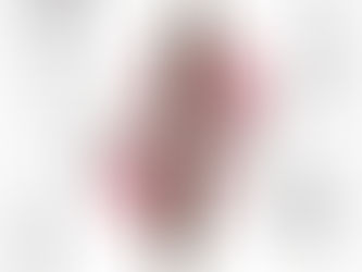 ひまわり会メンバー　コンサート出演のお知らせ