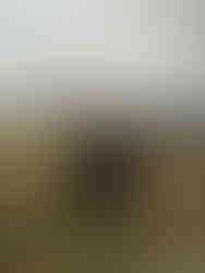 #alleinambergunterwegs