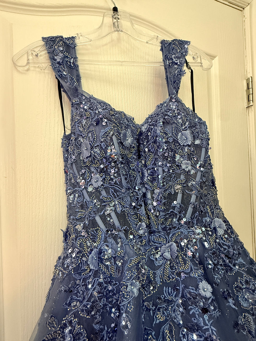 Thumbnail: Aerie Couture 278 Blue Iris Embellished Ball Gown | Size 6