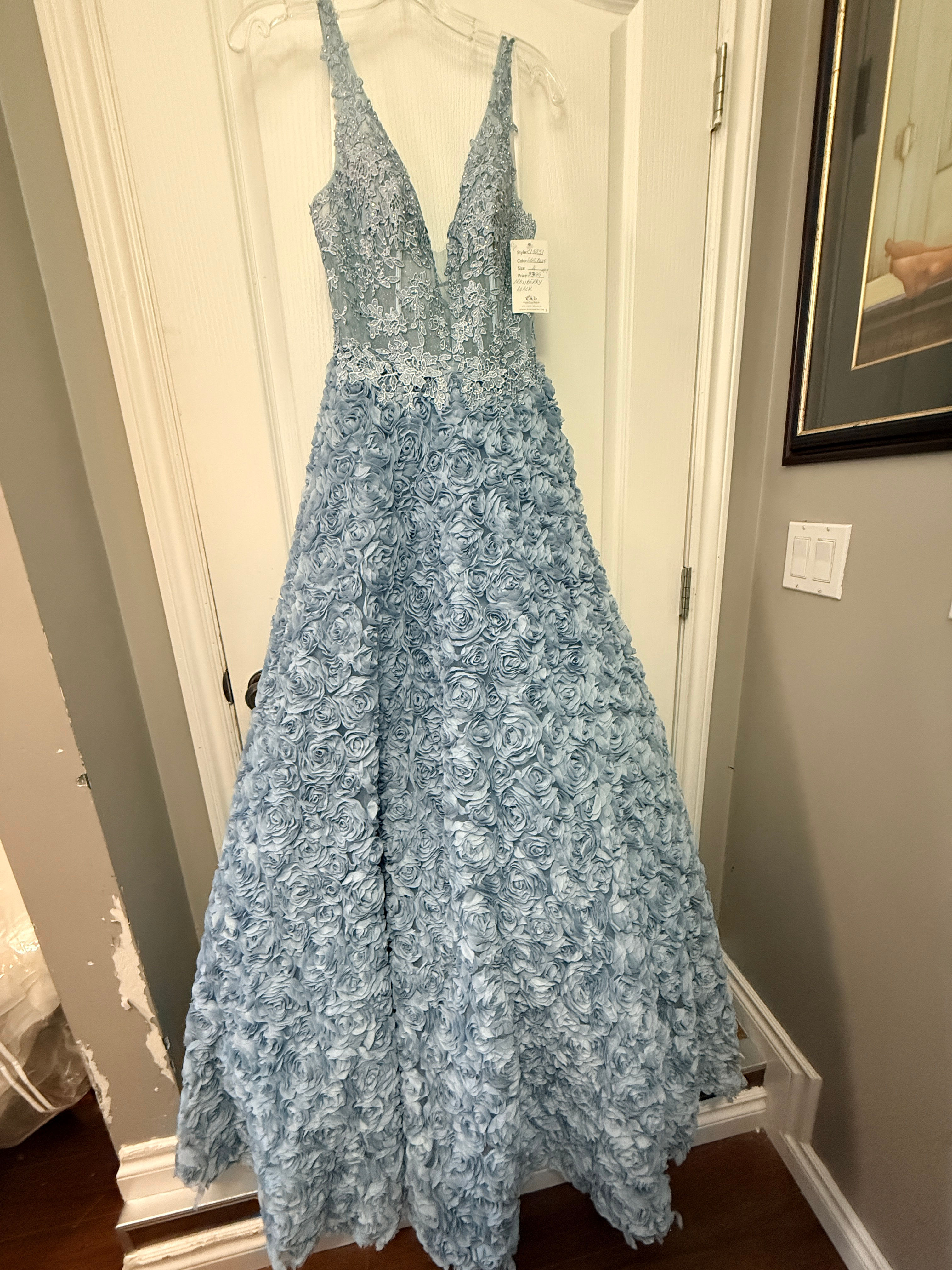 Colette by Daphne CL5251 Light Blue Floral Gown | Size 4