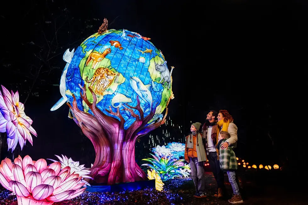 Leerzaam Uitje: Light Safari Beekse Bergen