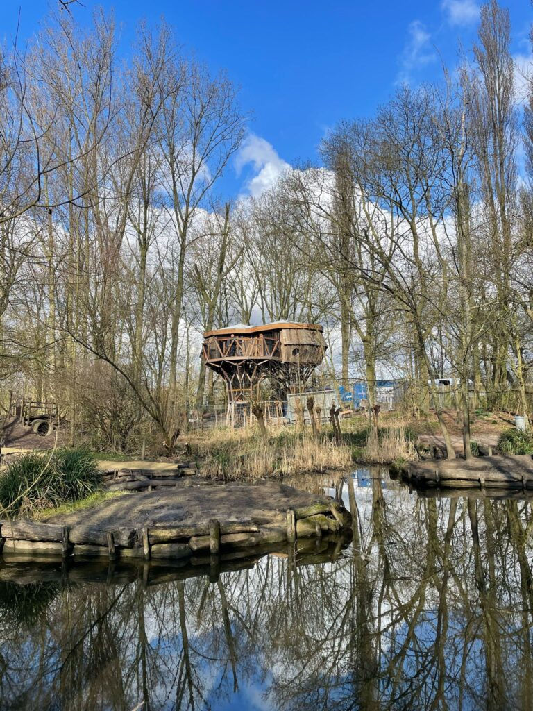 Leerzaam Uitje: Speelbos de Speeldernis