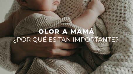 El olor a mamá: ciencia, emociones y perfumería