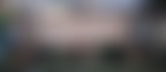 Факелно шествие "Поход на родолюбието"