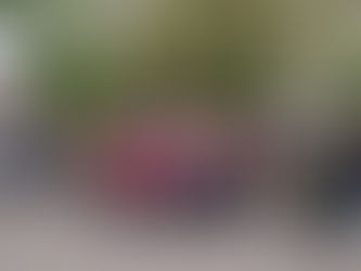 Общоучилищен тренинг за евакуация при земетресение