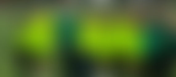 102. ОУ с достойно представяне на ученическите игри по футбол