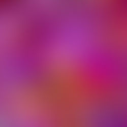 L’IGTV sur Instagram vit ses dernières heures