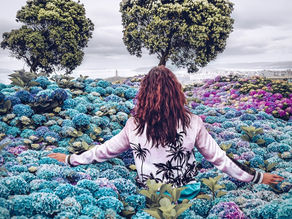 Find Your Life Purpose