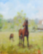 Stud Farm