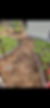 2.jpeg