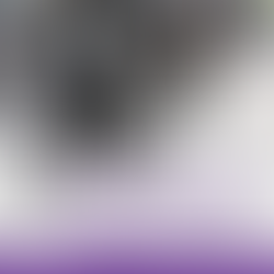 Black by Design the Exhibition