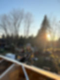 IMG_7569.JPEG