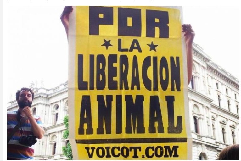 Activistas marcharon al Congreso