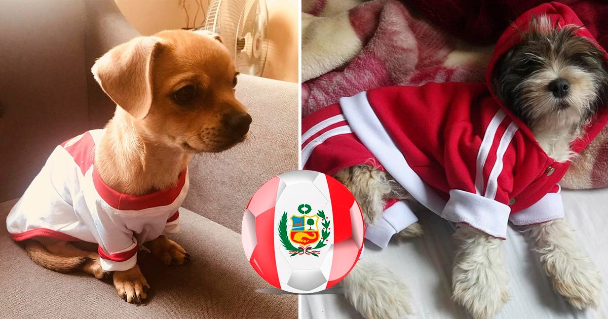Perú vs. Chile: