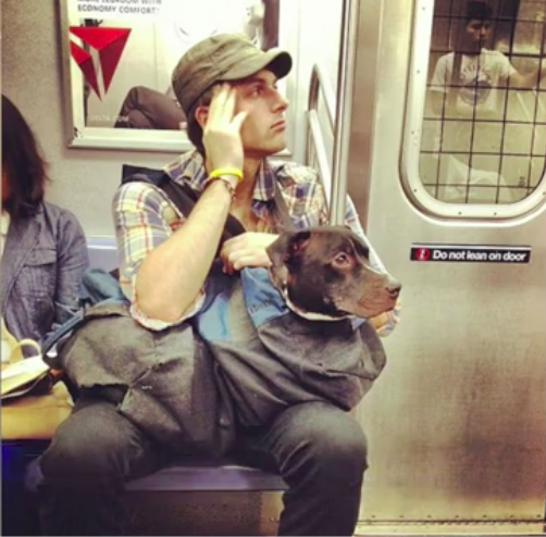 Transporte en Nueva York