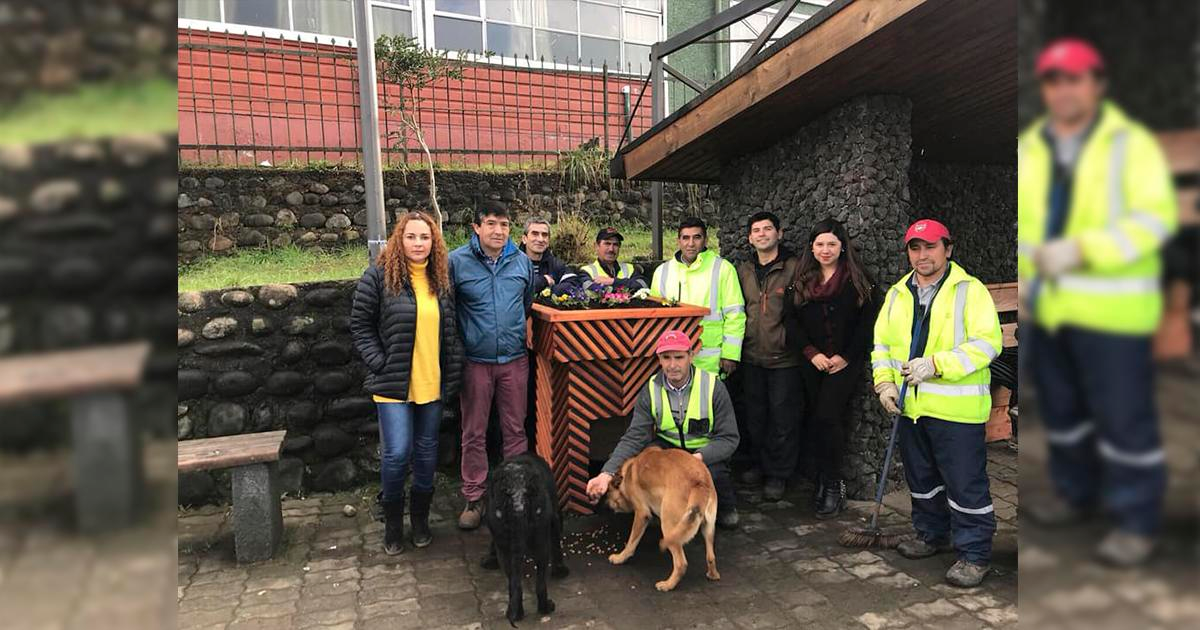 casas con maceteros para perritos