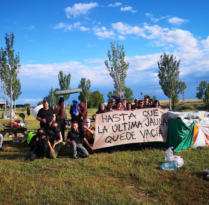 Una acampada protesta