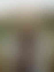 photo d'une femme de couleur enceinte au parc de blanquefort