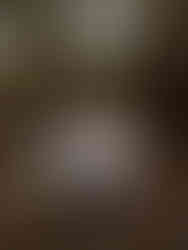 photo d'un couple complice qui rit à pessac au parc