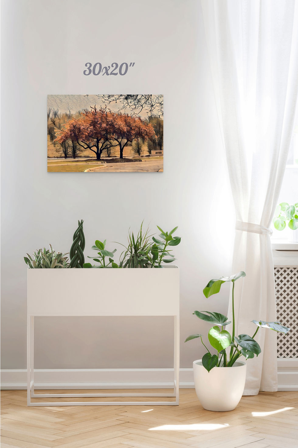 Thumbnail: Redbud Trees by the Road