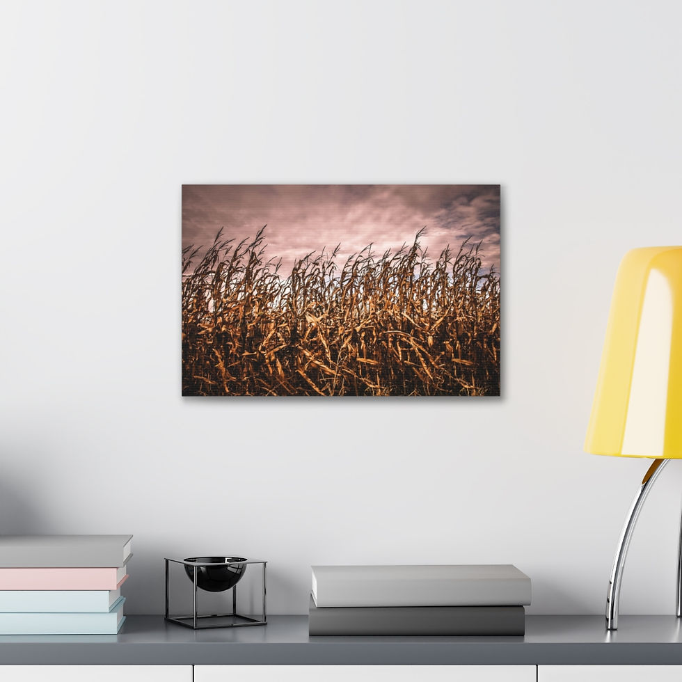 Thumbnail: Corn Stalk Breeze