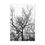 Thumbnail: Tree Silhouette