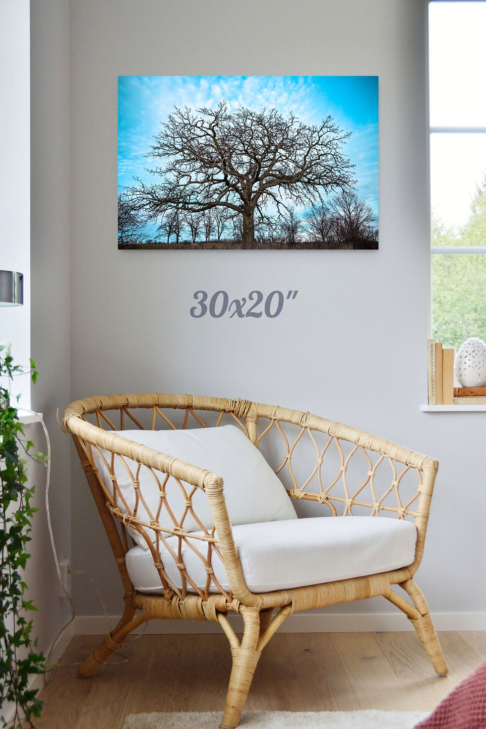 Thumbnail: Nature Tree Aqua Blue Sky