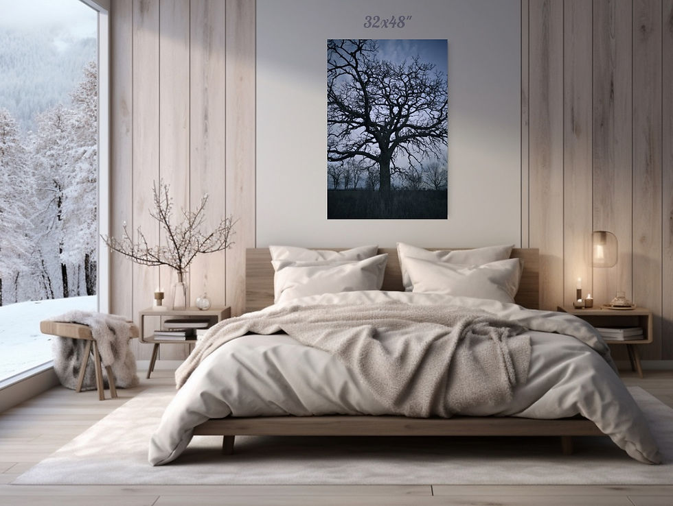 Thumbnail: Nature Tree Night Sky Portrait