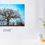 Thumbnail: Nature Tree Aqua Blue Sky