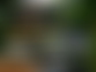 Two Women Killed in Upper East Side Murder-Suicide