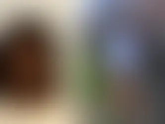 Teen charged with murder 93-year-old woman given $1M bond