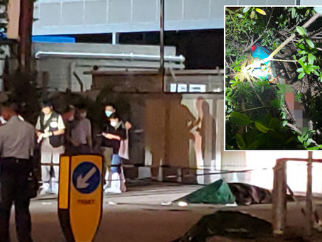 Suspect in chainsaw murder of woman in Yuen Long on the run