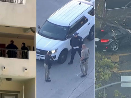 MOM KILLED BOYFRIEND, PUSHED DAUGHTERS OUT ON 405, DIED IN REDONDO BEACH CRASH: LAPD