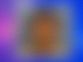 Chicago man robbed driver at gunpoint, tried to evade cops by dressing as a woman